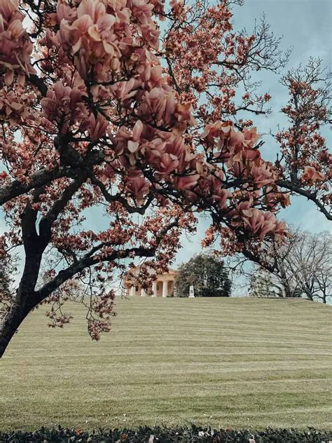 arlington va date ideas|23 Unique Date Night Ideas in Arlington, VA.